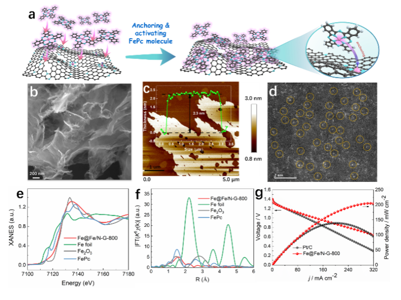 csFT_1656659716969055963.png csFT_1656659716969055963.png