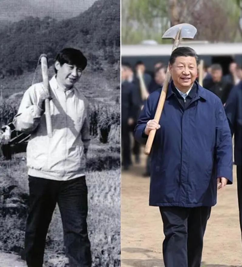 SfLb_1684142455201022685.jpg SfLb_1684142455201022685.jpg