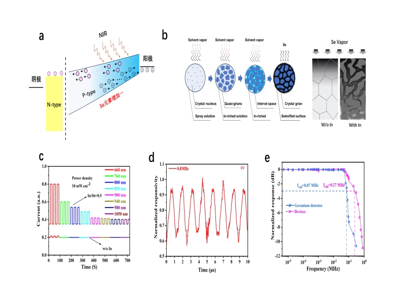 fFgB_1710233888046074927.jpg FIgure1.jpg